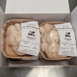 4 pack: Lion's Mane Mushrooms