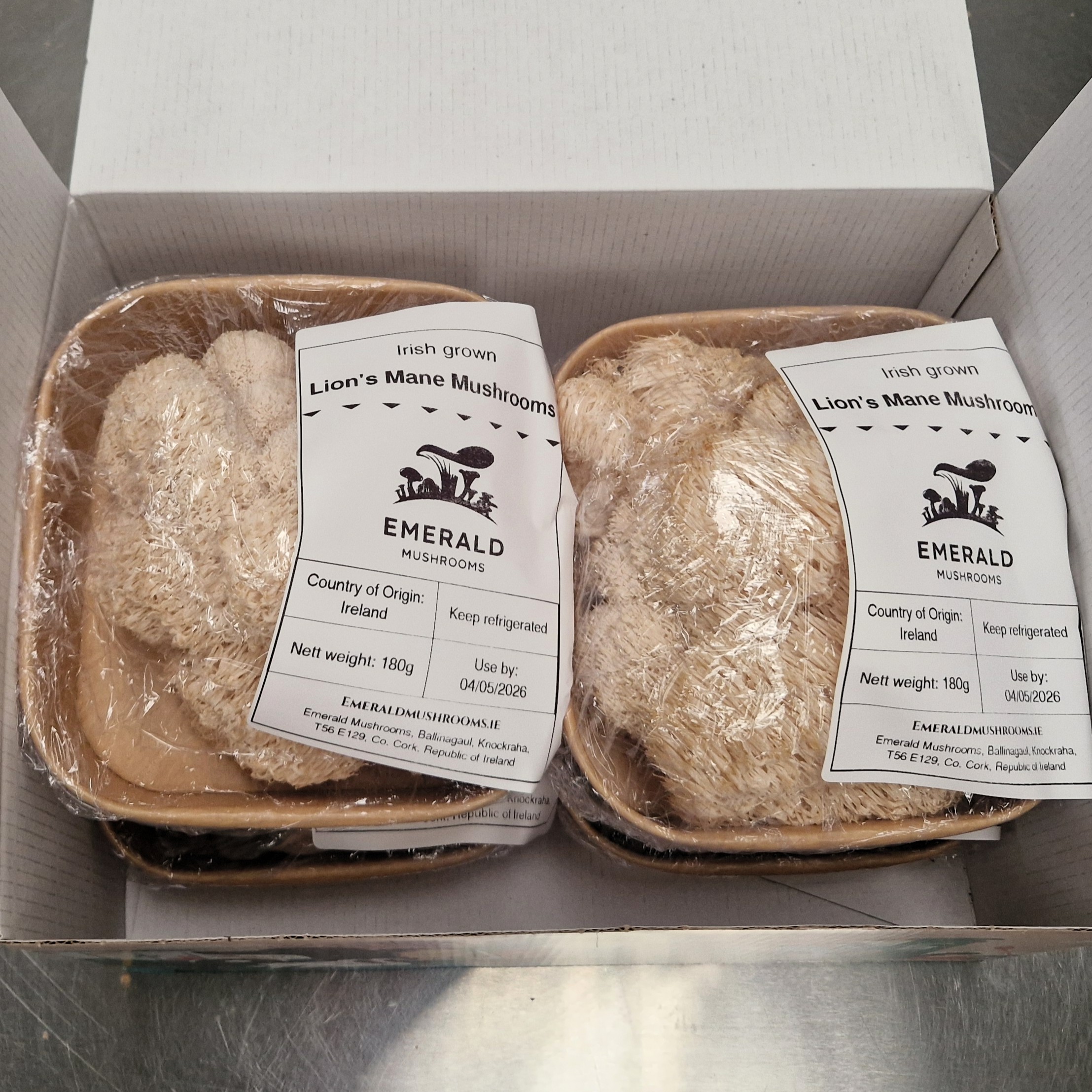 4 pack: Lion's Mane Mushrooms