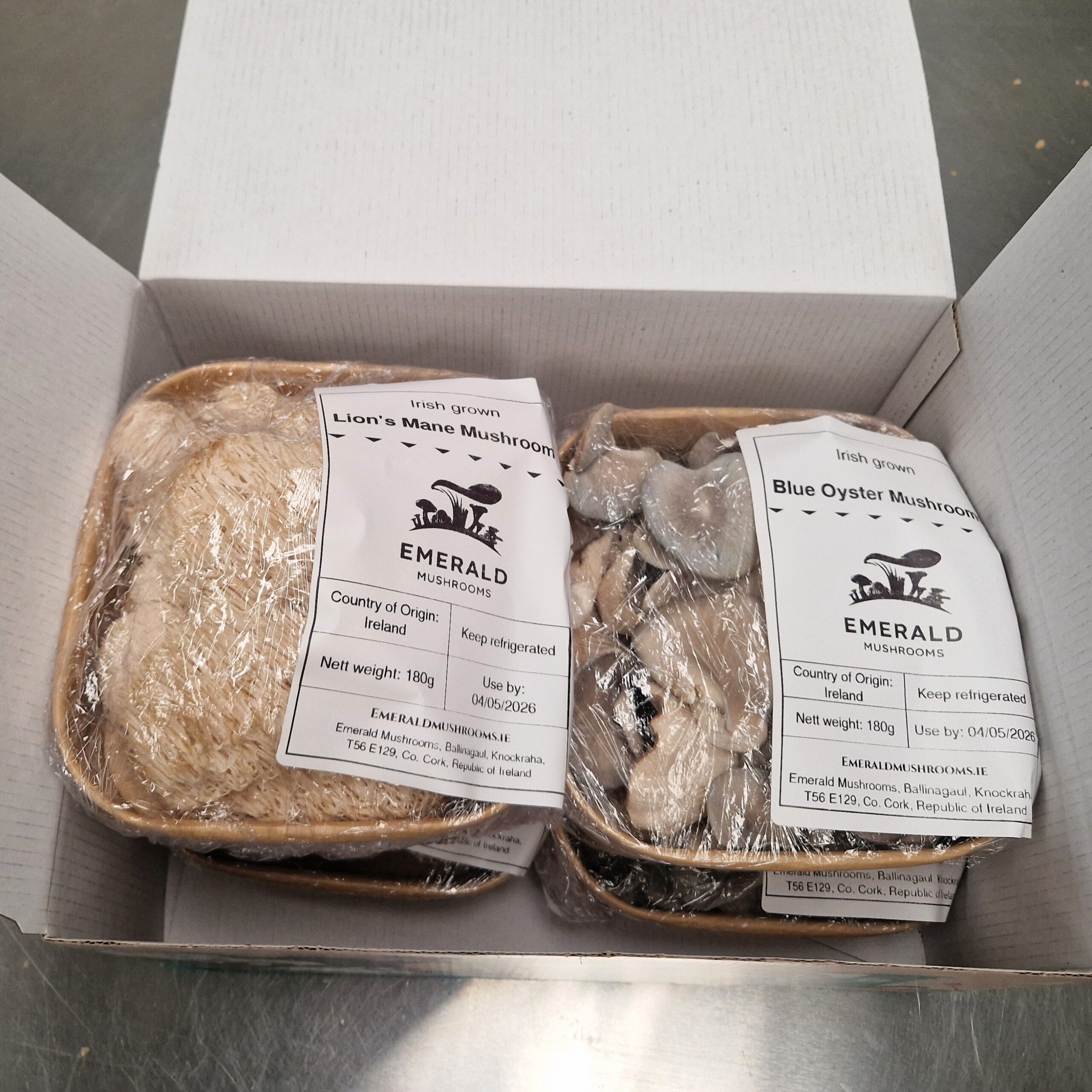 4 pack: 2xLion's Mane and 2xBlue Oyster Mushrooms