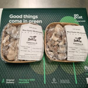 2 pack: Blue Oyster Mushrooms
