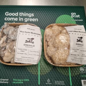 2 Pack: Blue Oyster & Lion's Mane Mushrooms