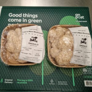 2 pack: Lion's Mane Mushrooms